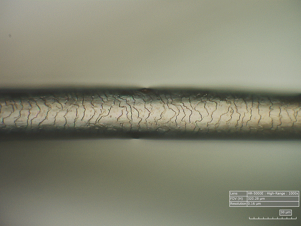 Hair with Hirox lens - 3
